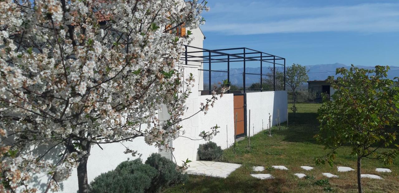 Vila Pan Zadar Exterior foto